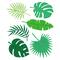 6 Pack: Tropical Leaves Cutting Die Set by Recollections™
